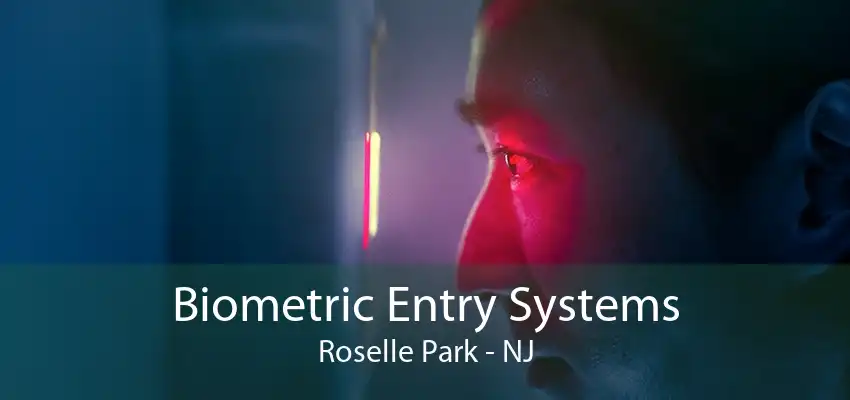 Biometric Entry Systems Roselle Park - NJ