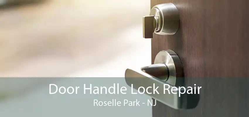 Door Handle Lock Repair Roselle Park - NJ