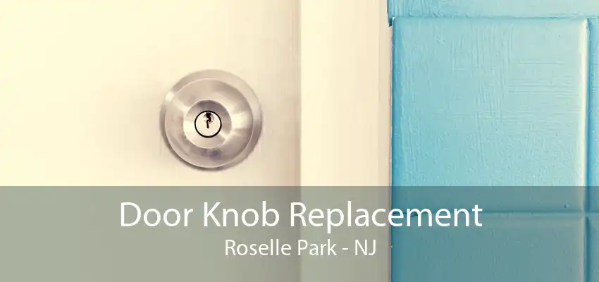 Door Knob Replacement Roselle Park - NJ